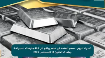 تحديث اليوم.. سعر الفضة في مصر يرتفع إلى 405 جنيهات لسبيكة 5 جرامات الاثنين 18 أغسطس 2025